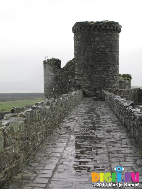 SX20498 Harlech Castle tower reflected in rain puddles